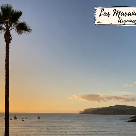 Kaiman 33 By Villagrancanaria *